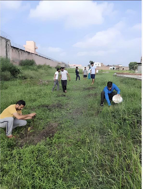 Field work