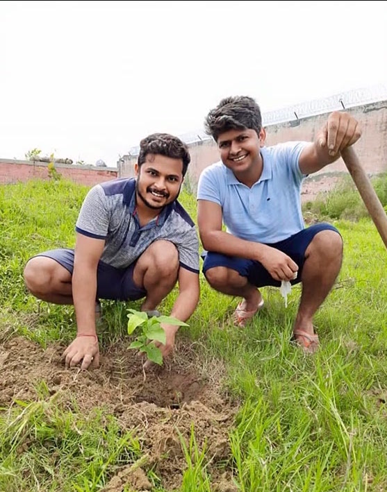 Field work